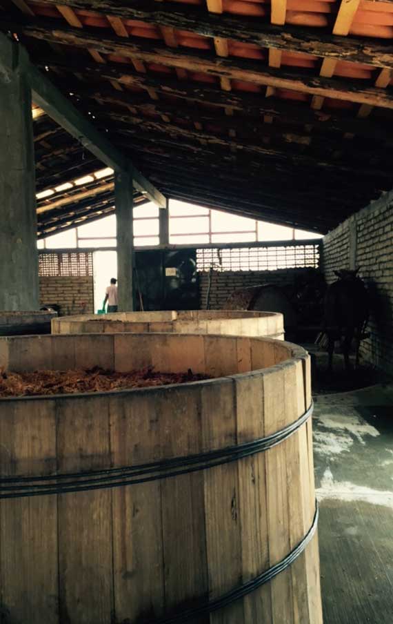 The fermentation cask in the Montelobos production