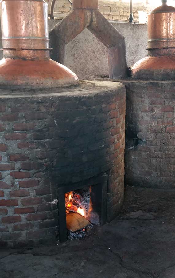 The distillation in Montelobos Palenque