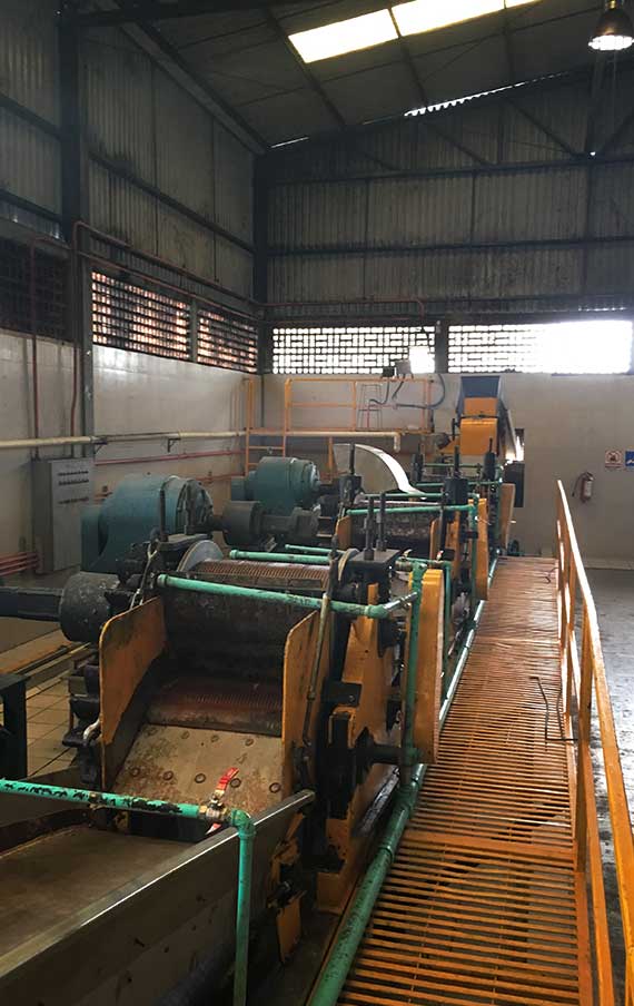 The milling machine that extract the agave juice