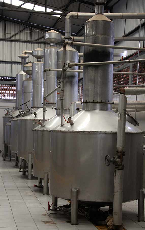 The Distillation stainless pot still in Tres Toños Distillery